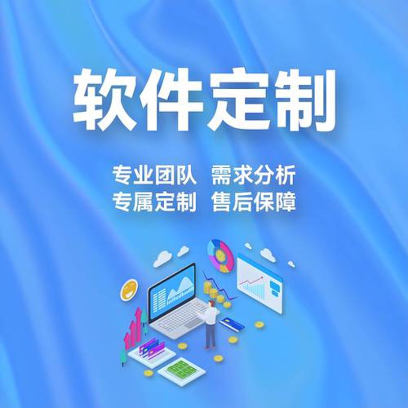 河南软件开发行业：技术与创新的高地